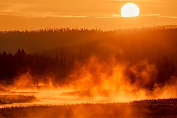 Jones, Adam 아티스트의 Madison River at sunrise-Yellowstone National Park-Wyoming작품입니다.